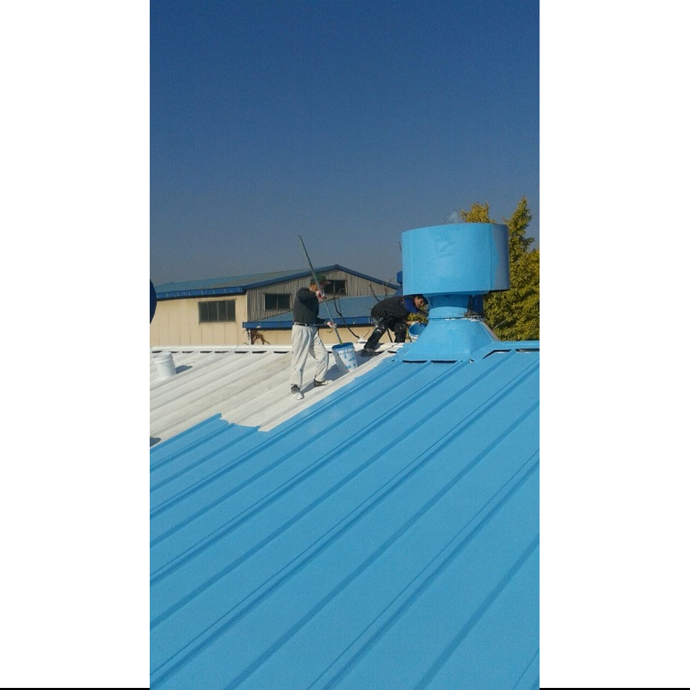 Dairom insulating and waterproof paint