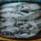 full image FROZEN SPANISH MACKEREL