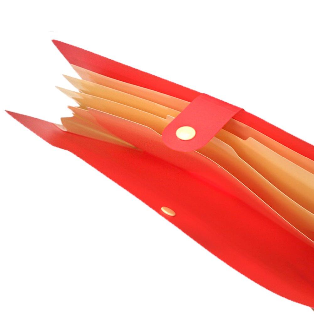 [Morning Glory] Clever 5 Classification Simple Document File