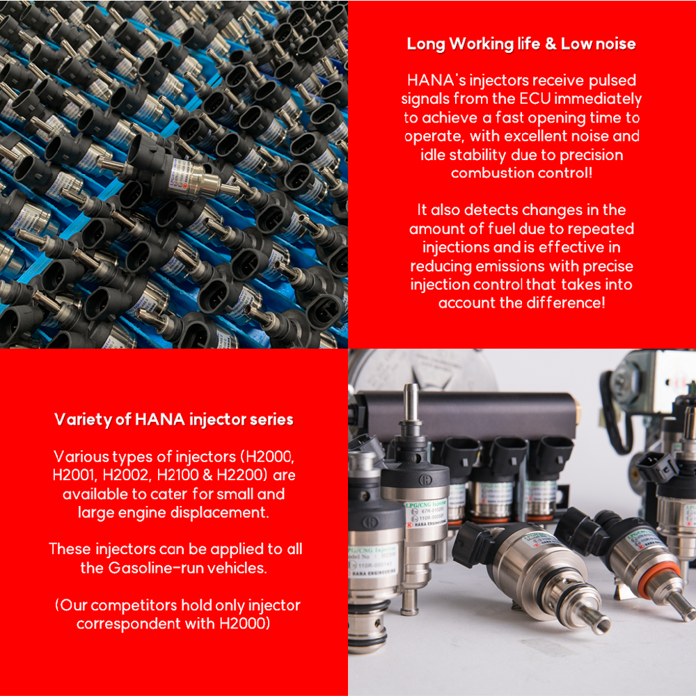 LPG CNG injector for passenger car (H2001)