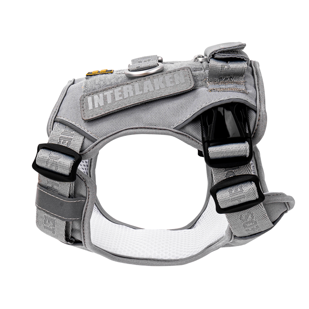 INTERLAKEN CUSTOM DOG HARNESS