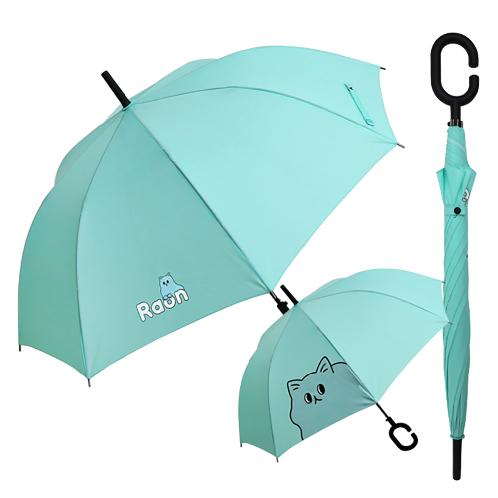 Raon 62nd Umbrella (Laon Mint)