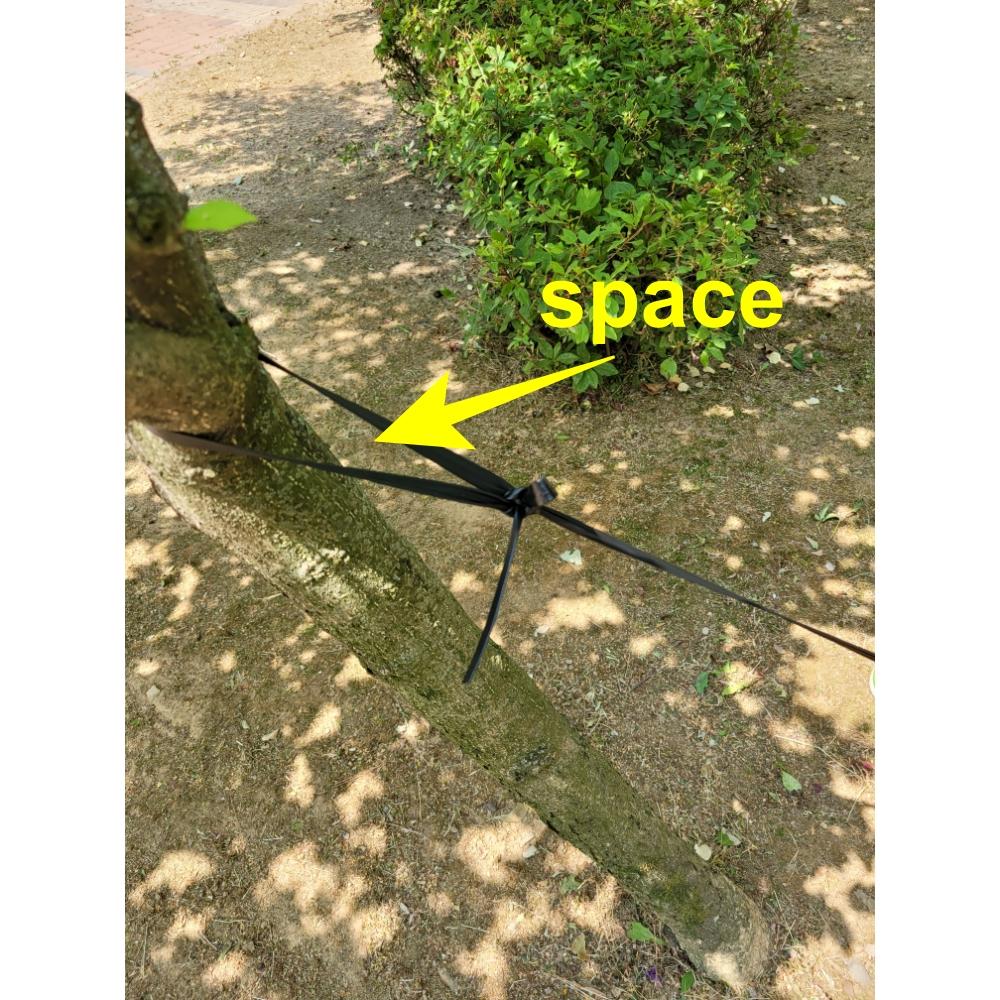 tree strap 17-250 tree tie