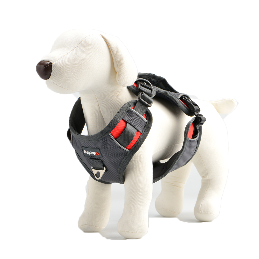 Safe Harness for pet