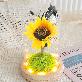 detail image3 LED lucky sunflower glass dome mood light Gift