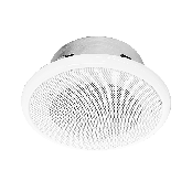 Audio Recording and Bug Suppressor "RBS-008C"