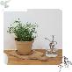 detail image1 Freefactory Flower Plant Pot with Drainage Holes and Saucer Tray(Large/Ivory)