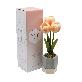 full image Cutie Tulip Pot LED