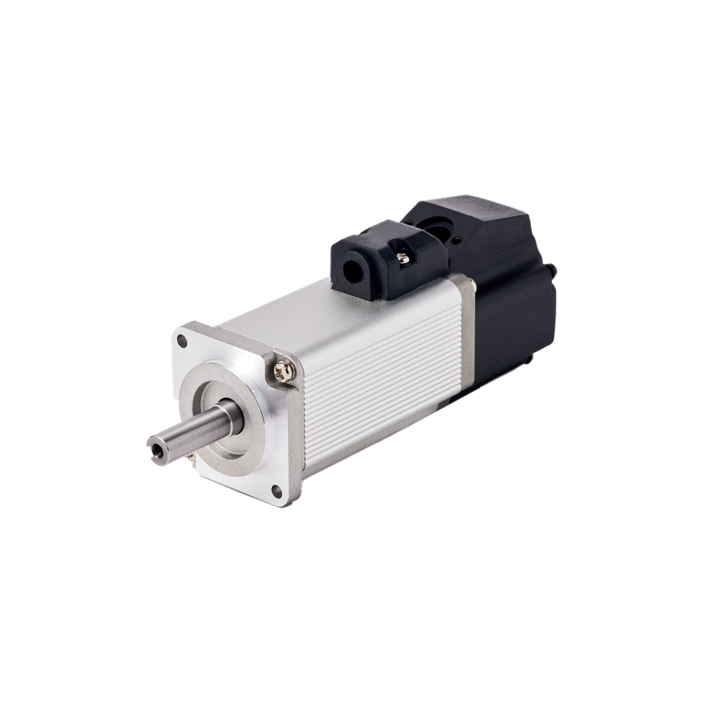 Low Voltage Servo Motor(DC12V, 24V, 48V & 72V)